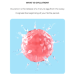 Ovulation Test Strip - Image 3