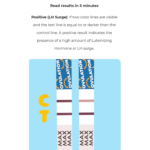 Ovulation Test Strip - Image 9
