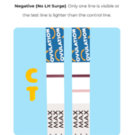 Ovulation Test Strip - Image 10