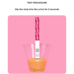 Pregnancy Test Strip - Image 3