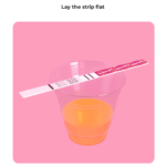 Pregnancy Test Strip - Image 4