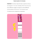 Pregnancy Test Strip - Image 5