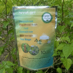 Dog Blood Bush & Blue Vervain - Image 5